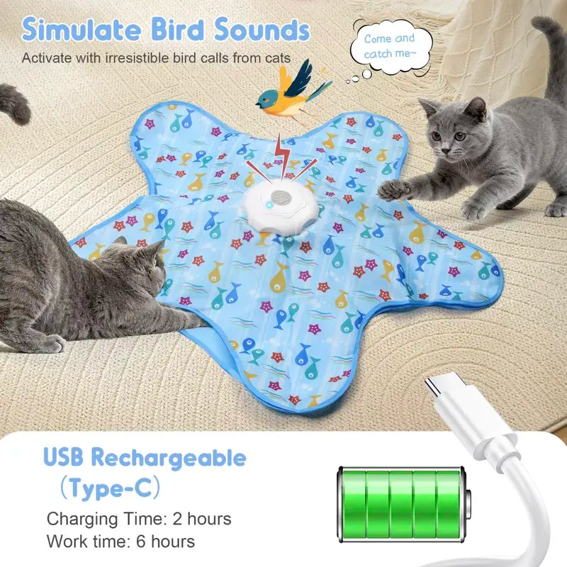 Interactive Hide & Seek Cat Toy