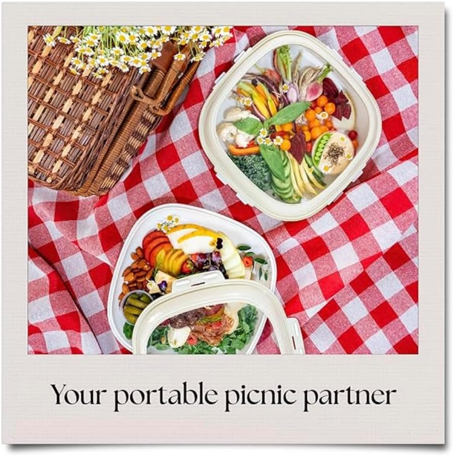 Portable Snack Tray Container Set