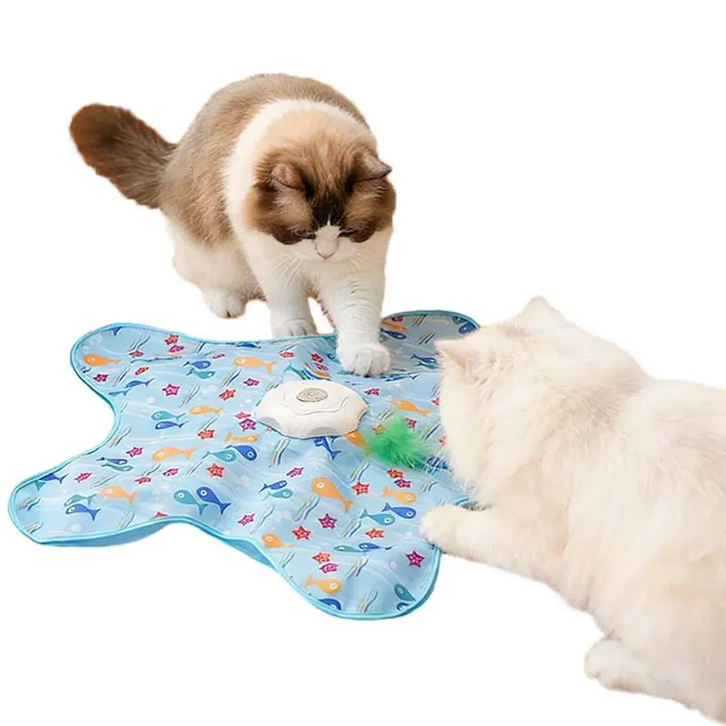Interactive Hide & Seek Cat Toy