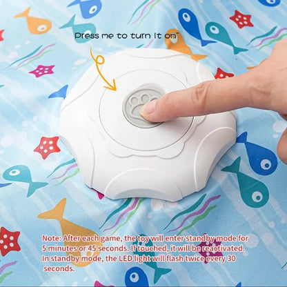 Interactive Hide & Seek Cat Toy