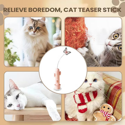 Electric Cat Toy - Cactus Shaped Interactive Wand