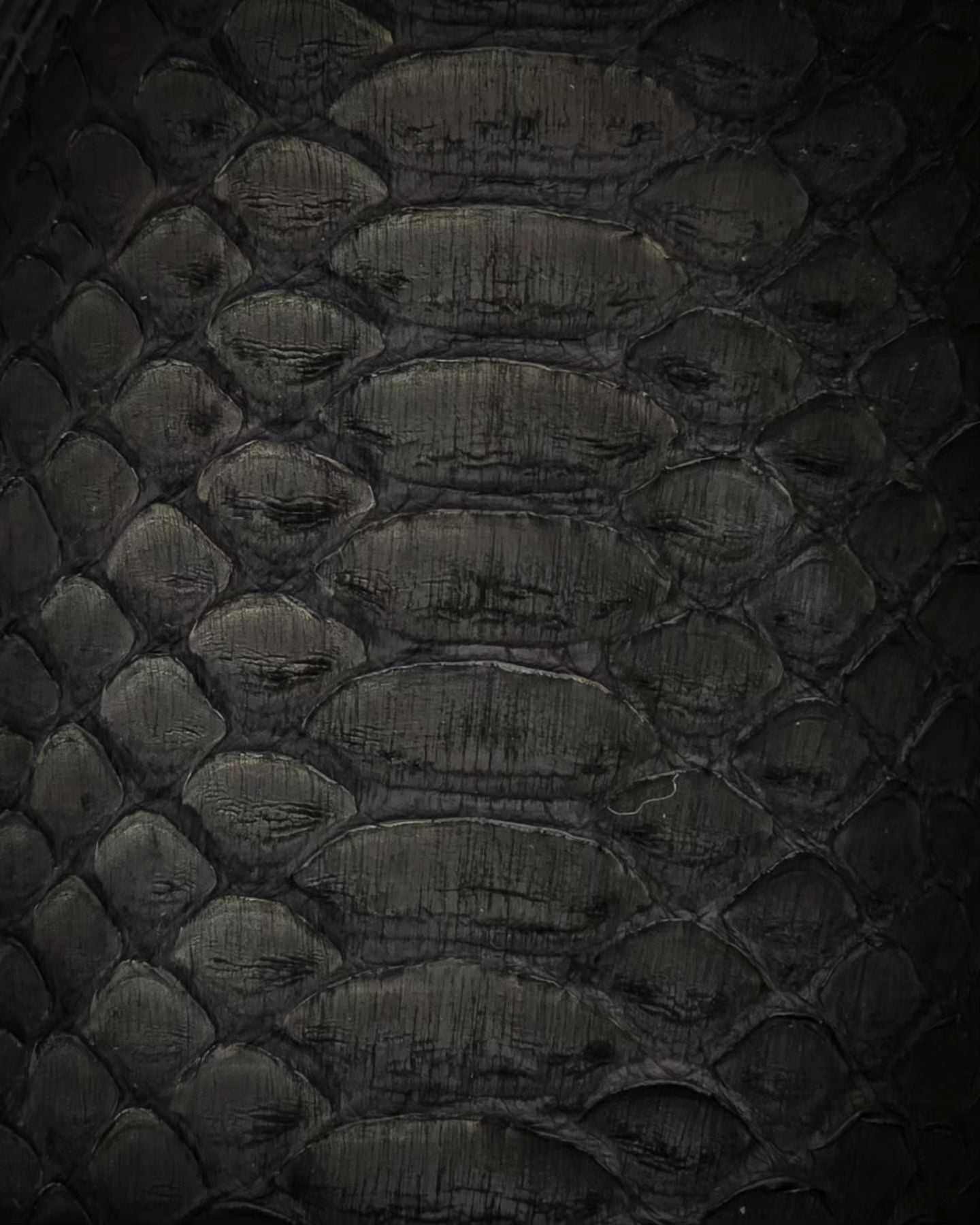 Suede Snake Print Lace-Up Ankle Boots